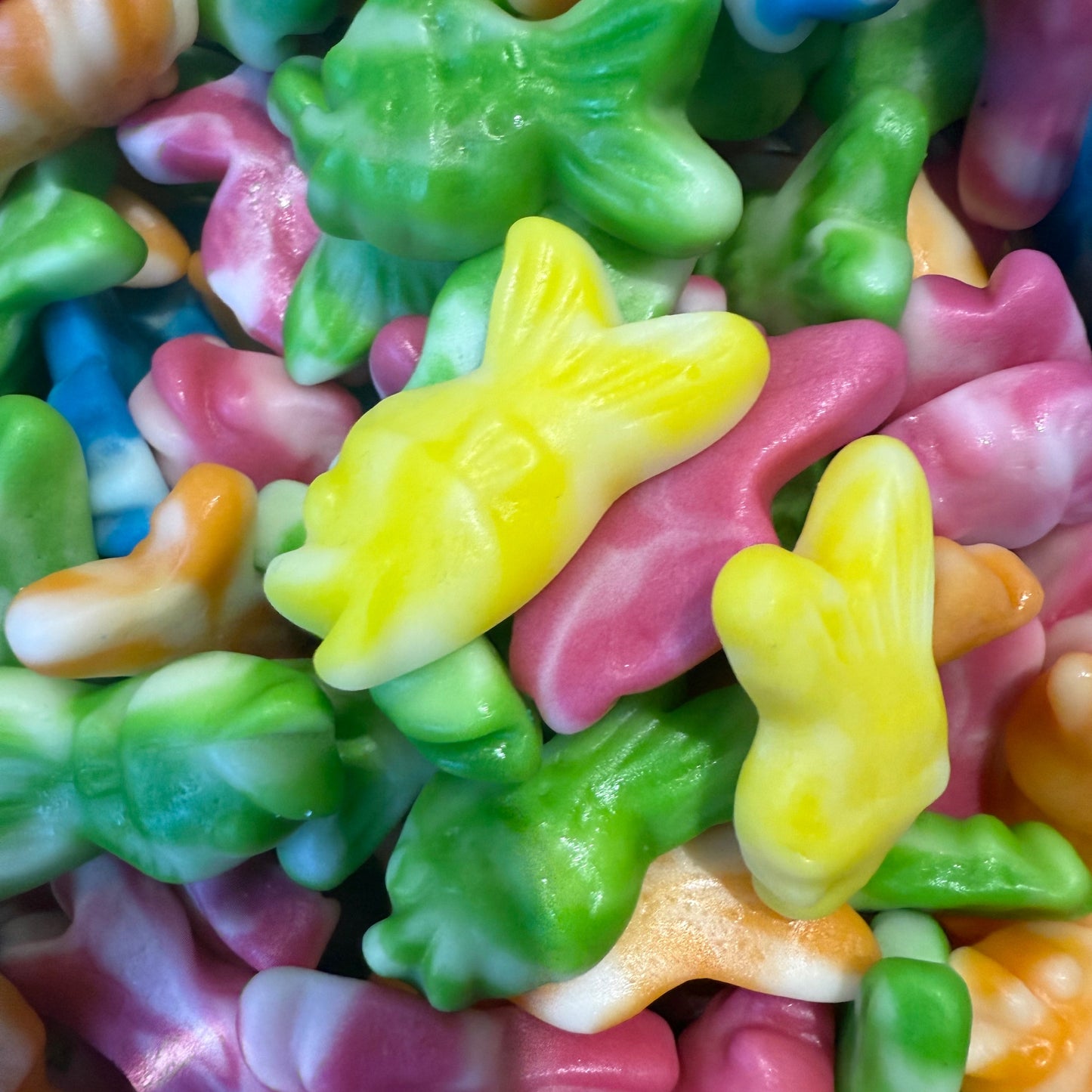 Cropped_Image-3 copy 4.png