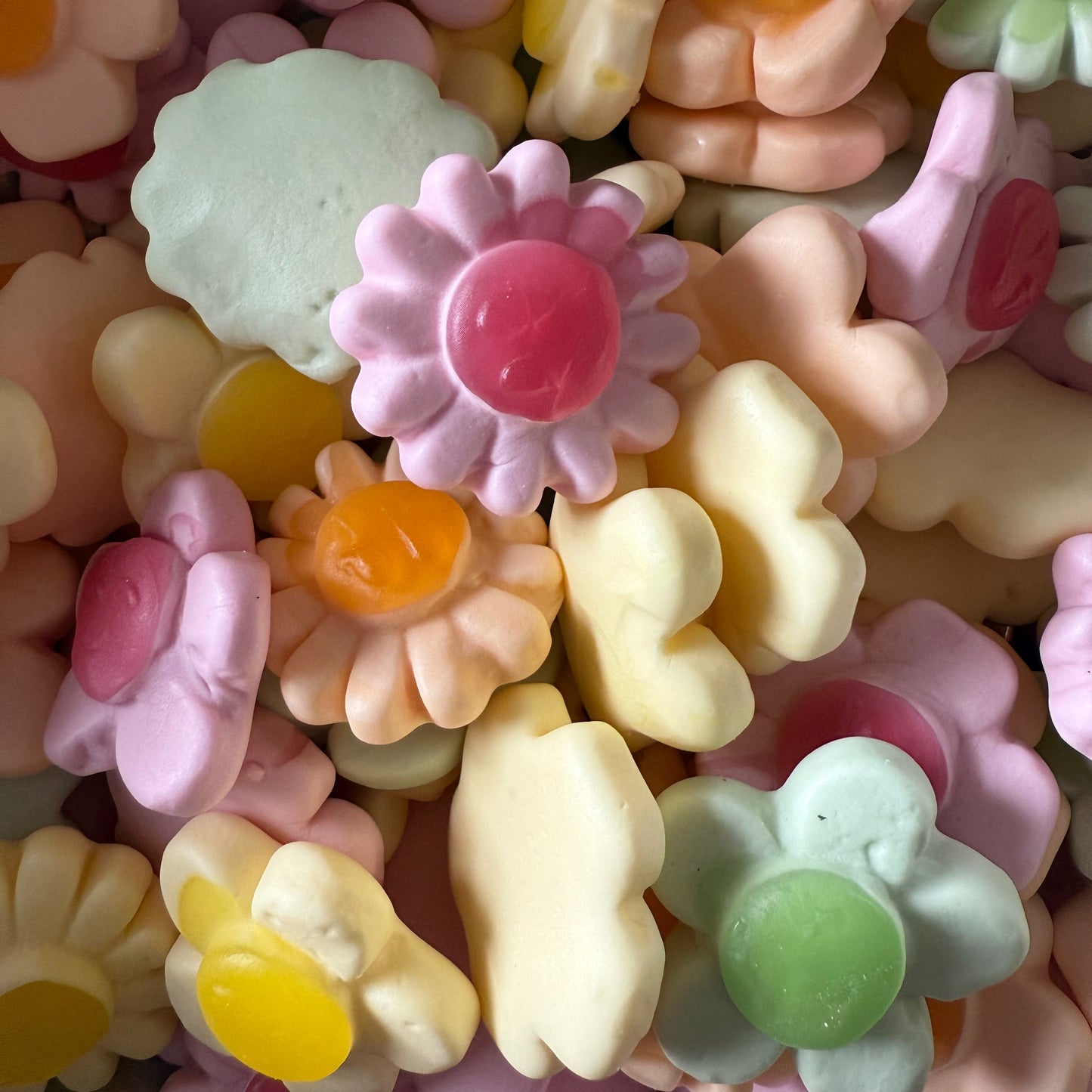 Cropped_Image copy 45.png