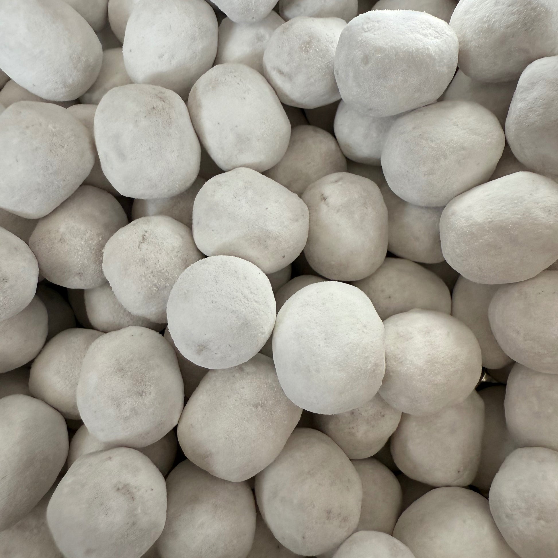 Cropped_Image copy 10.png