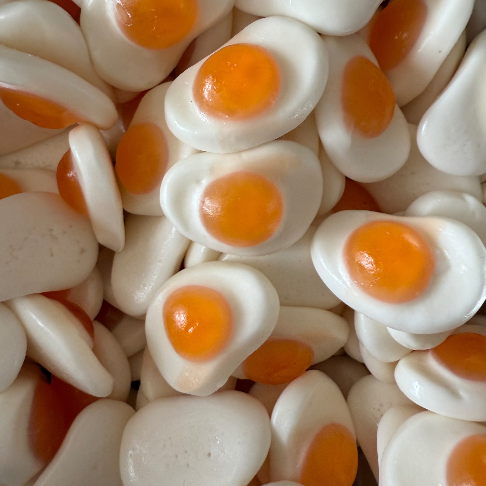 Cropped_Image copy 12.png