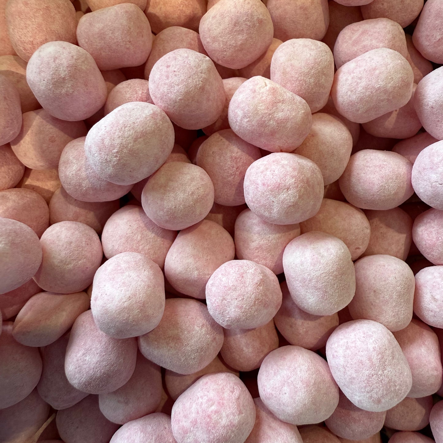 Cropped_Image copy 4.png