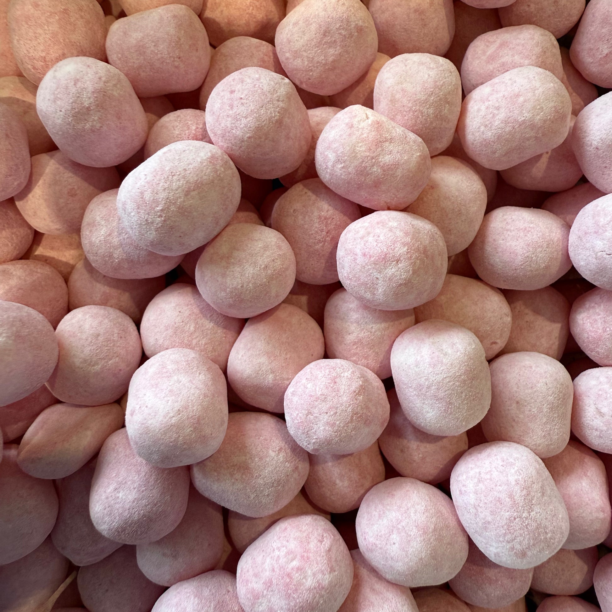 Cropped_Image copy 4.png